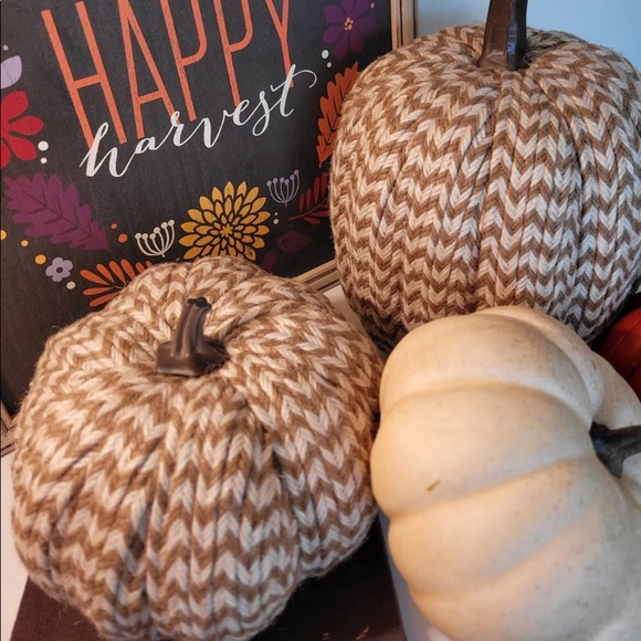 2 for $6 Fall Decor, Threshold Brand, Braided Texture Pumpkins - Picture 2 of 11